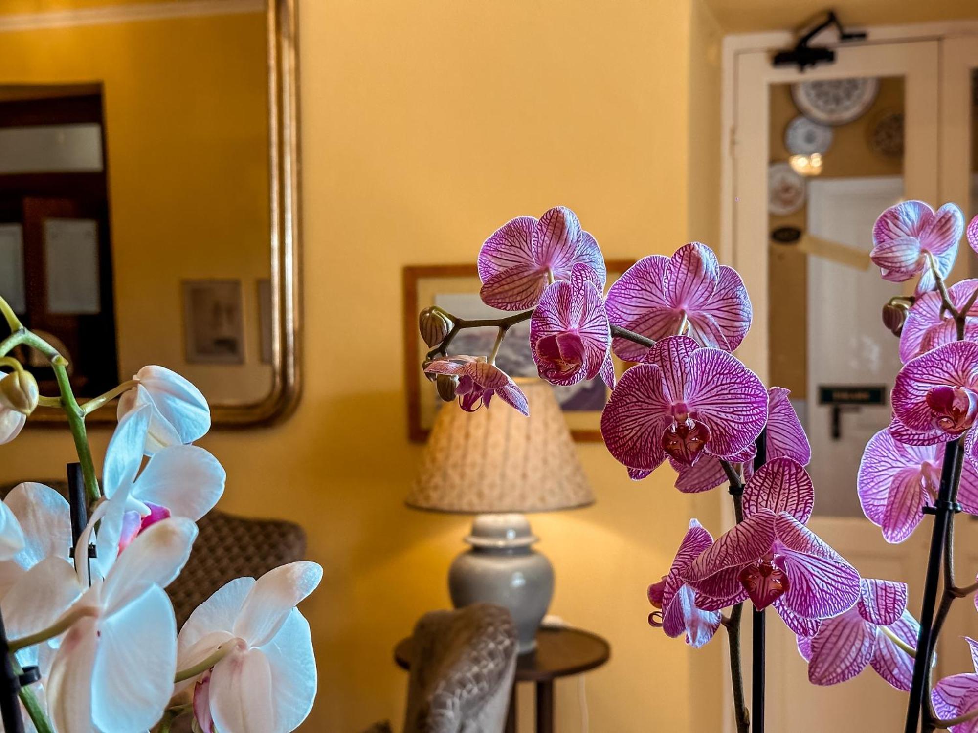 Hotel Villa Anita Santa Margherita Ligure Kültér fotó